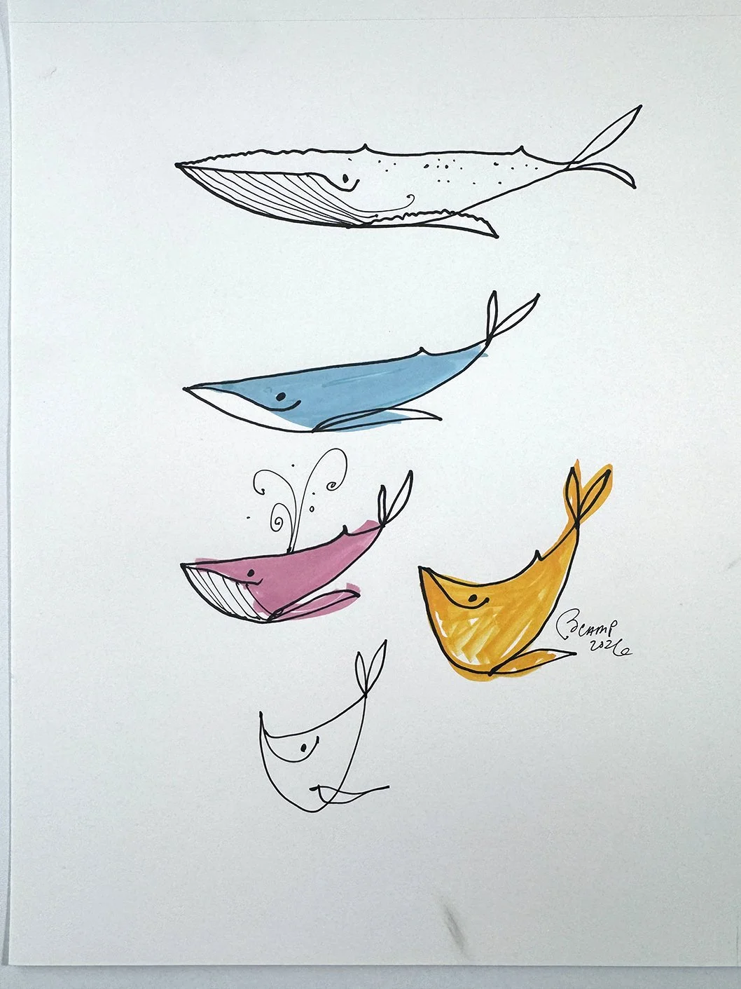 WhaleColors_01.JPG