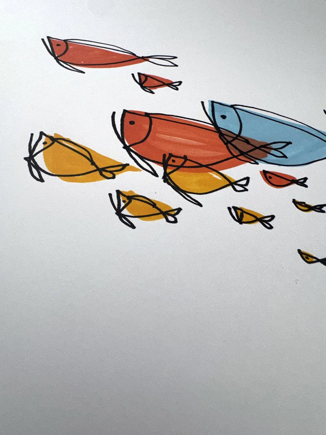 ColorFish_02.JPG