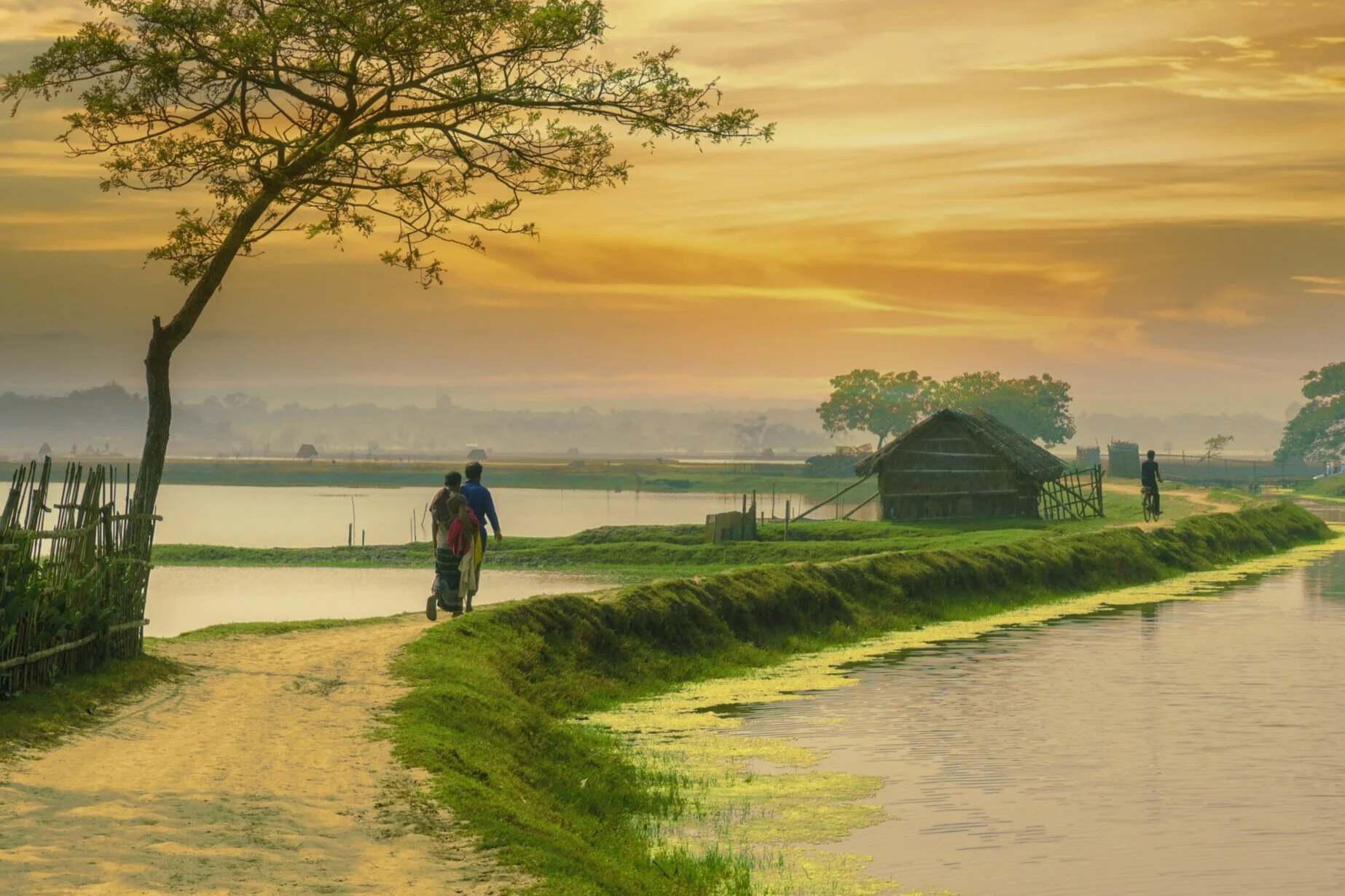 Banner+for+website.jpg