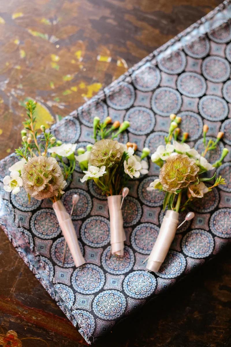 Scabiosa Pod Bouts.JPG