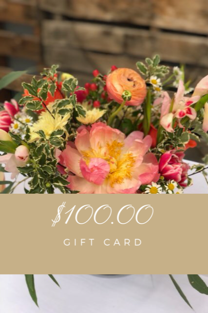 $100 gift card image.PNG