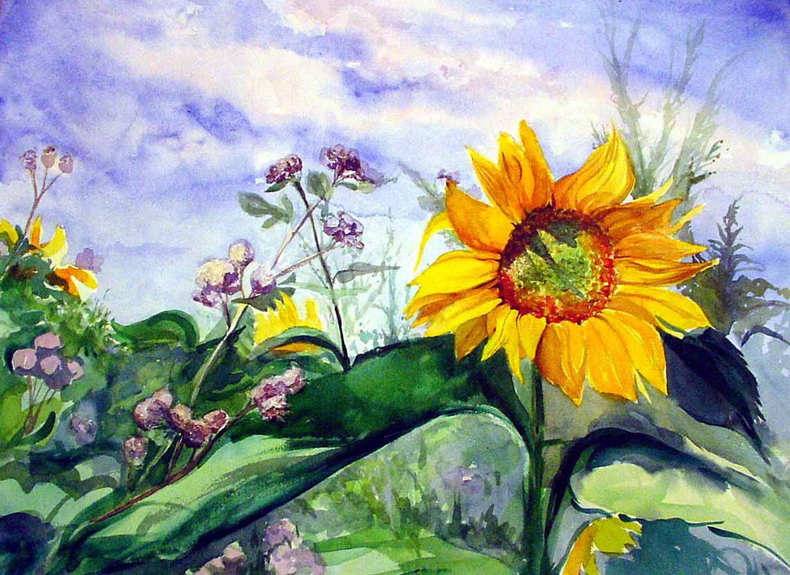 Slovakian Sunflower_sm.jpg