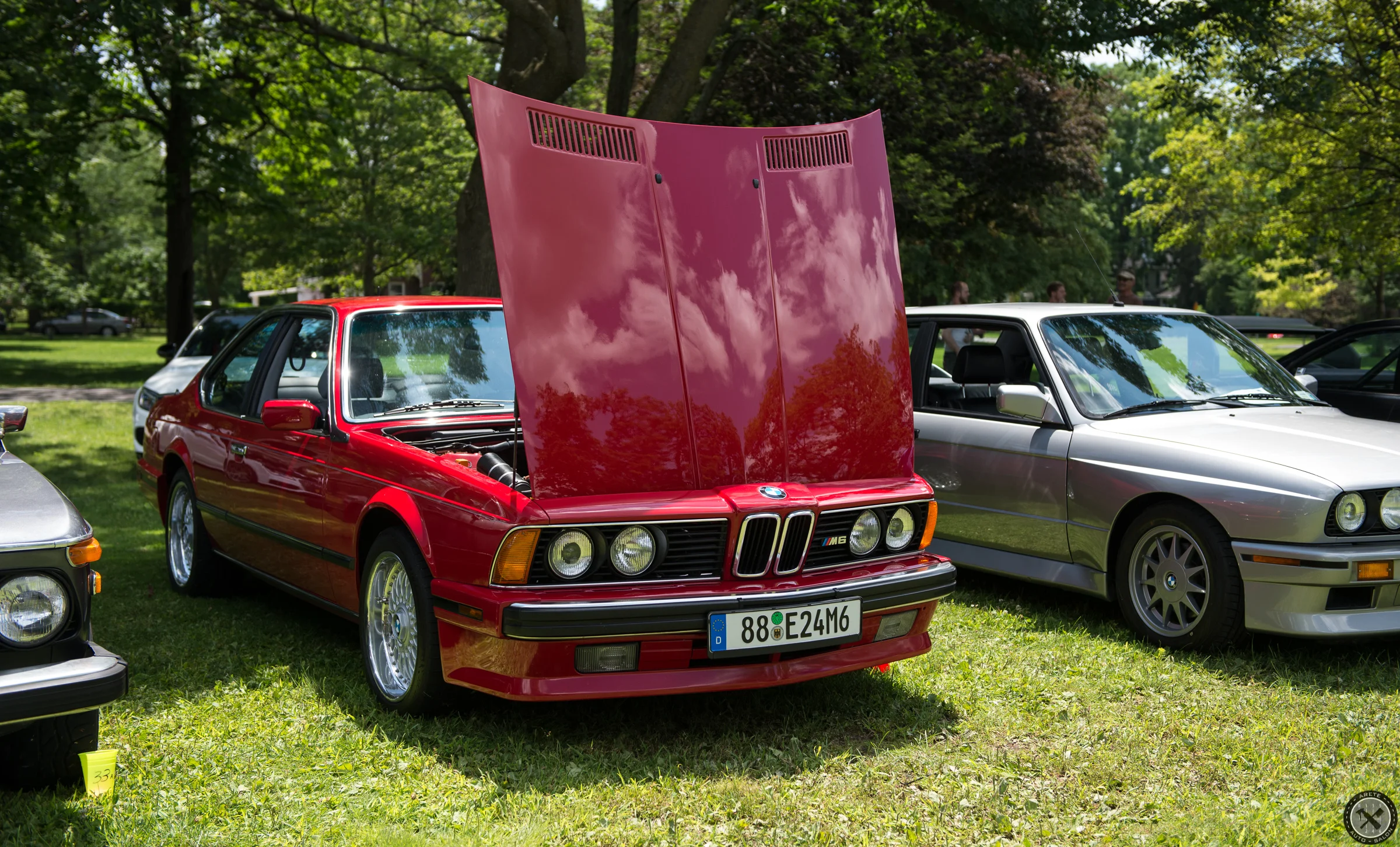 DSC_9854.jpg