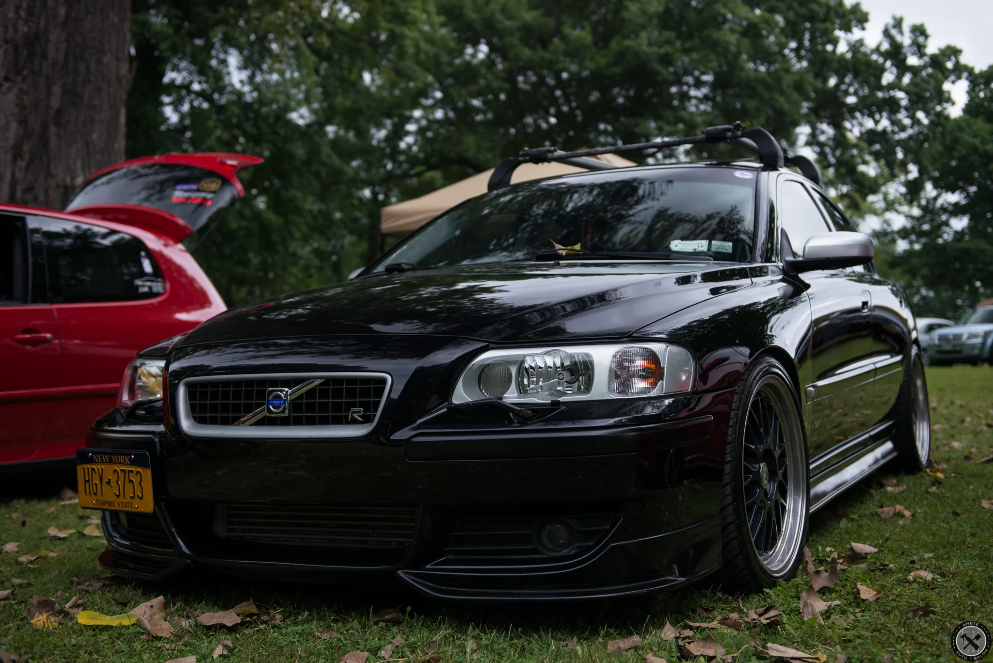 DSC_0091.jpg