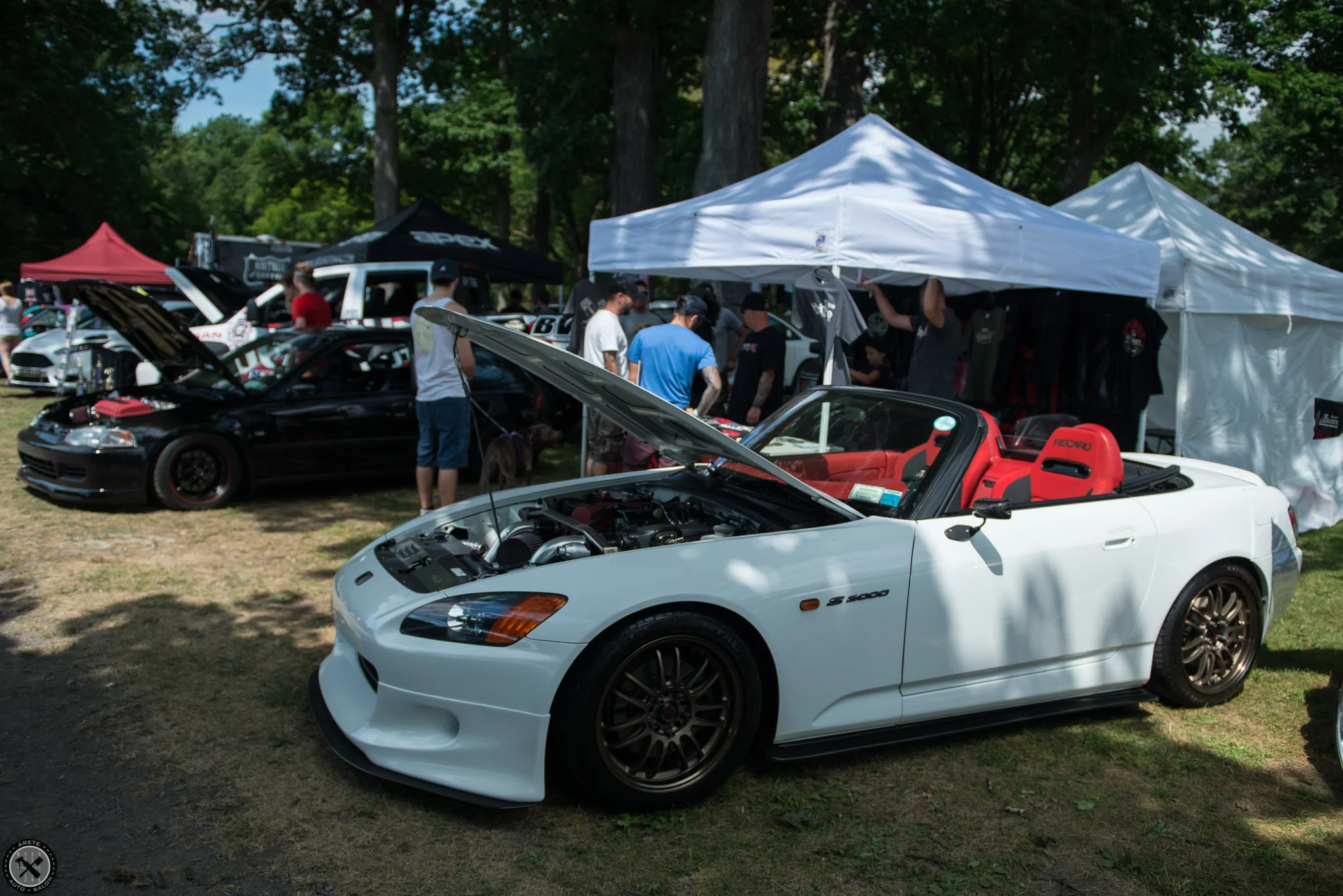 DSC_0106.jpg
