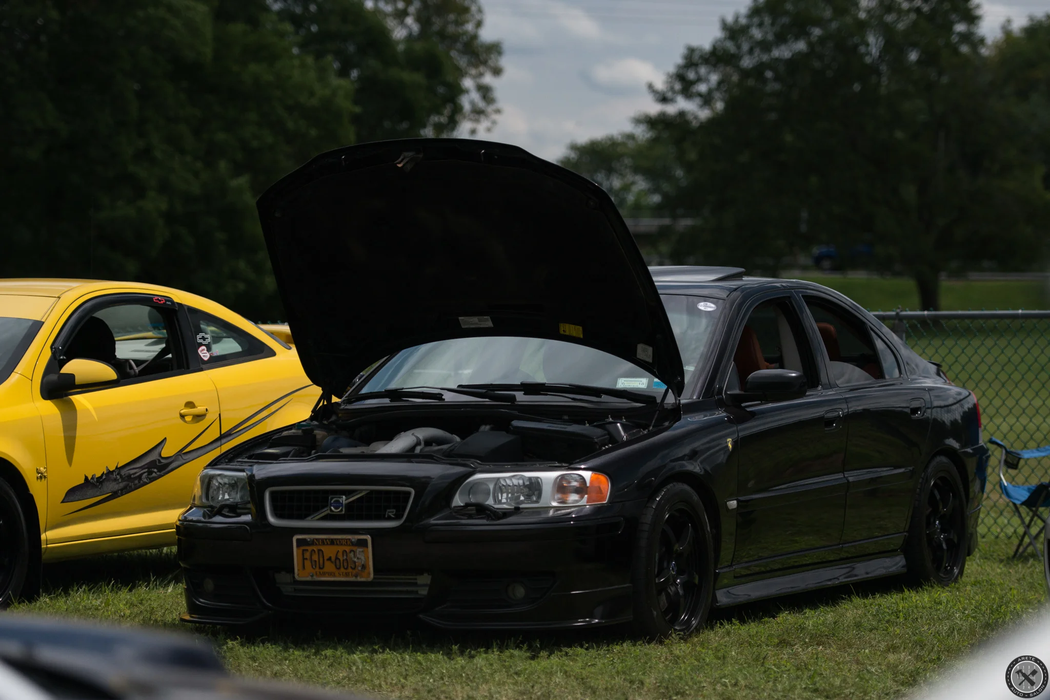 DSC_0231.jpg
