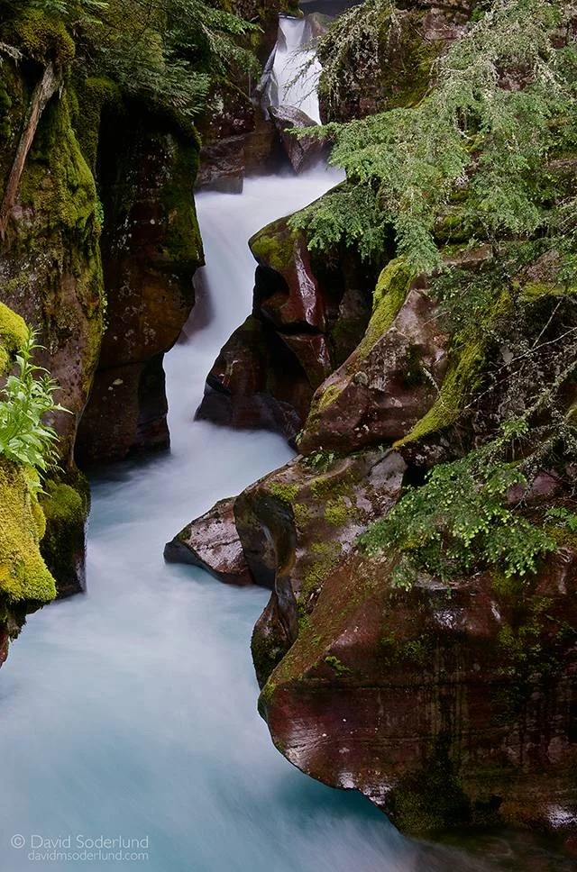 Avalanche Creek, Glacier NP