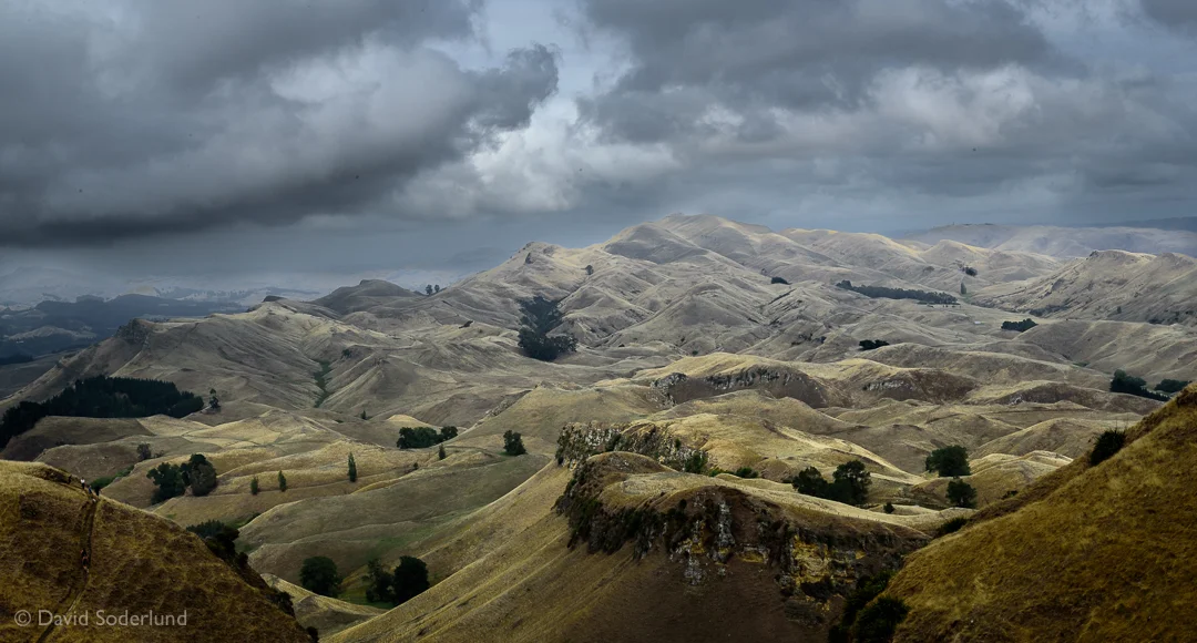 The view from Te Mata Peak.
