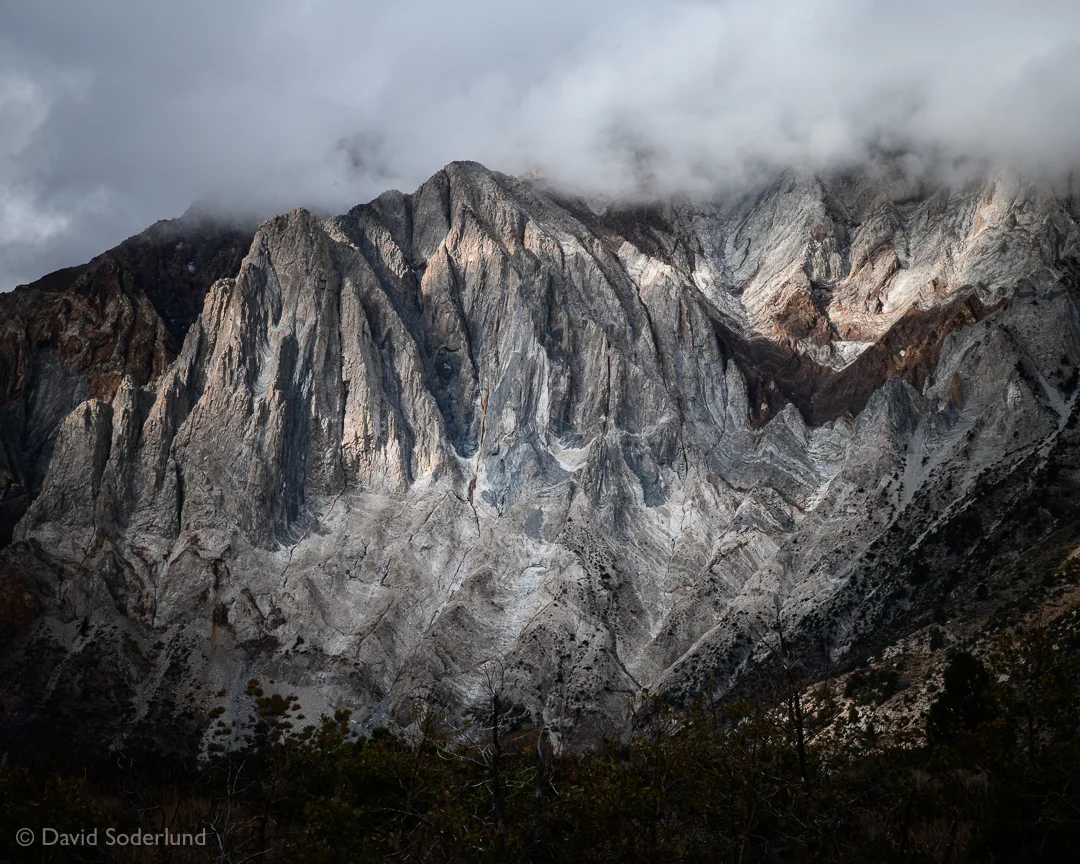 Head in the Clouds (Mt. Laurel)