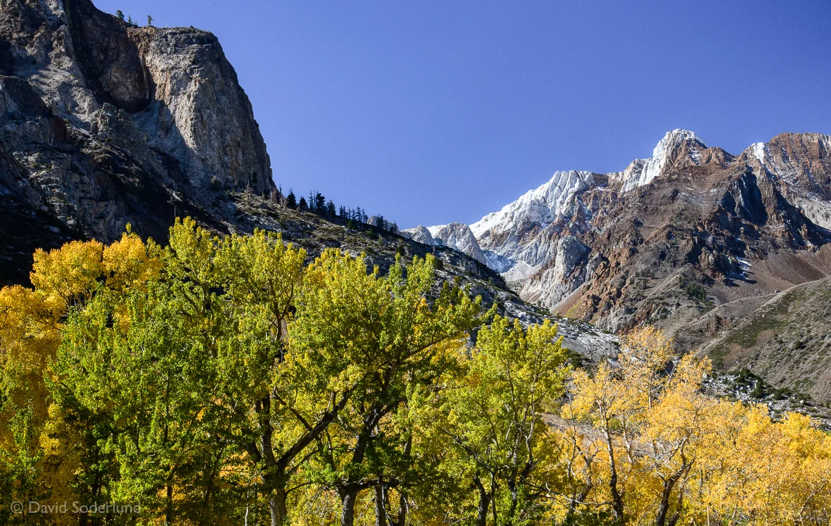 Fall color along McGee Creek