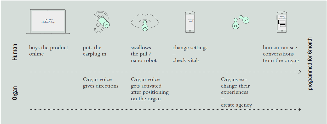 User Journey
