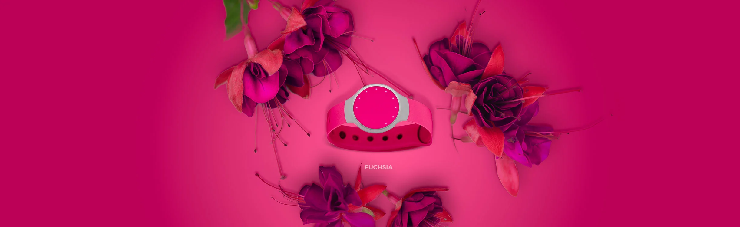 STORE_flash_banner_images_fuchsia.jpg