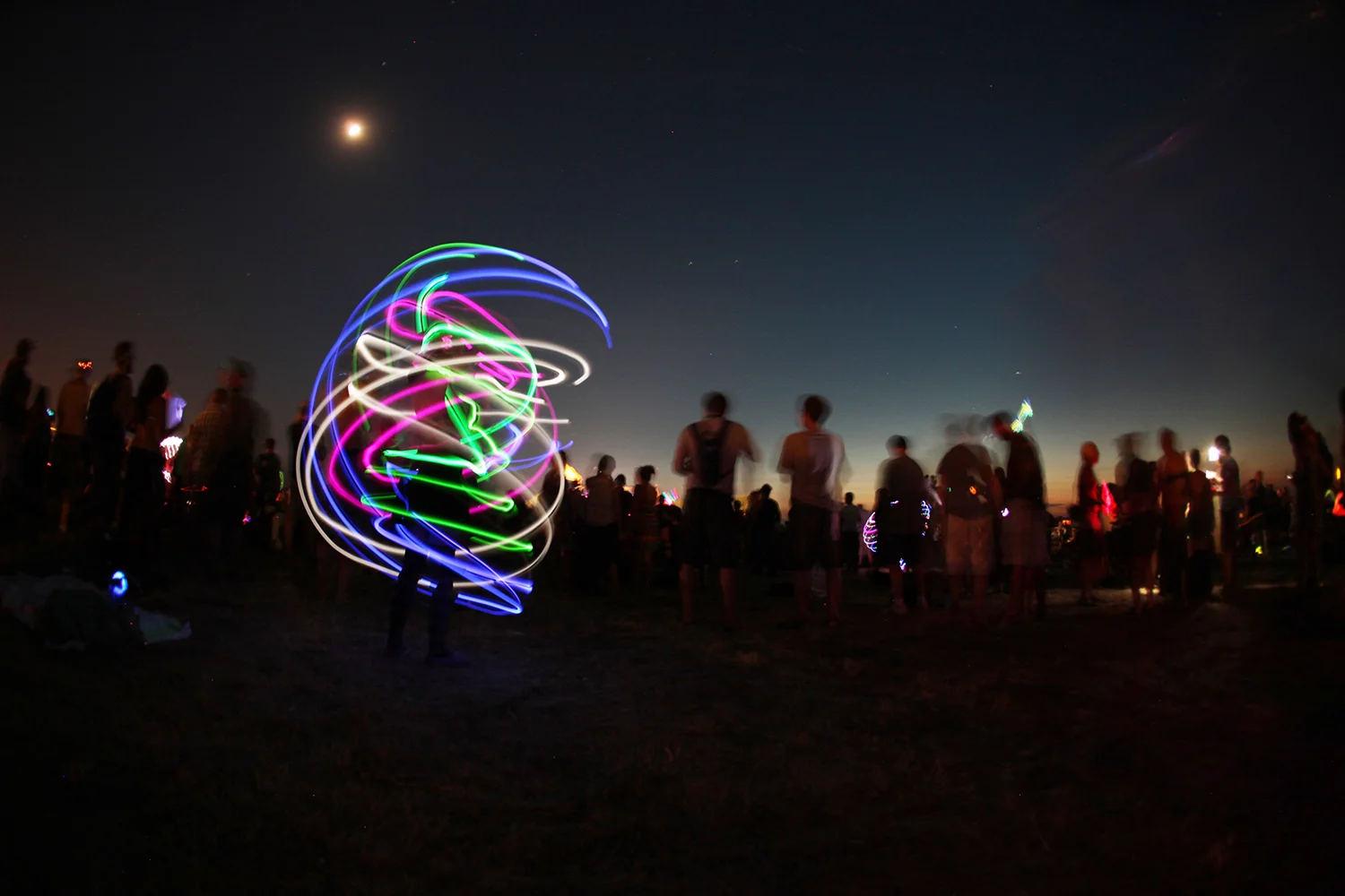 scamp119_low.jpg