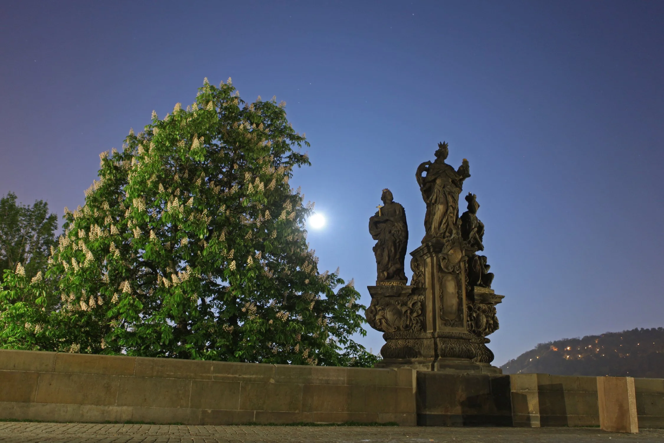 epicknight_travel_cz03.jpg