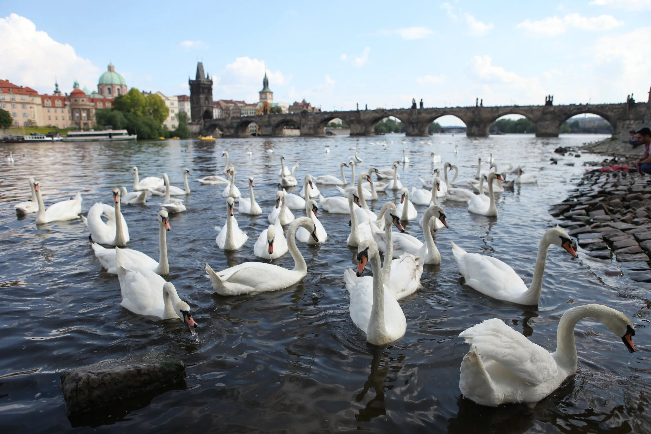 epicknight_travel_cz08.jpg