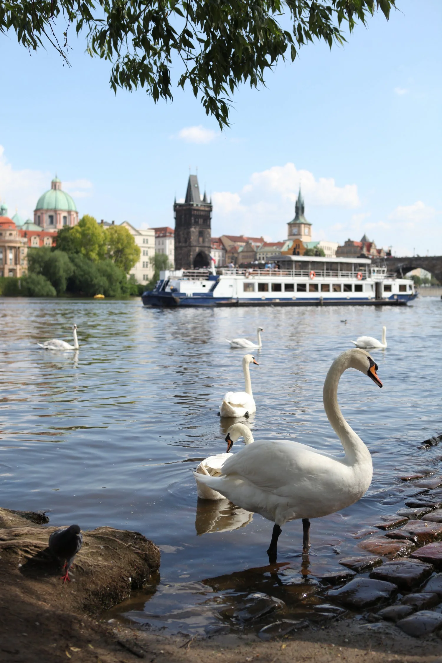 epicknight_travel_cz09.jpg