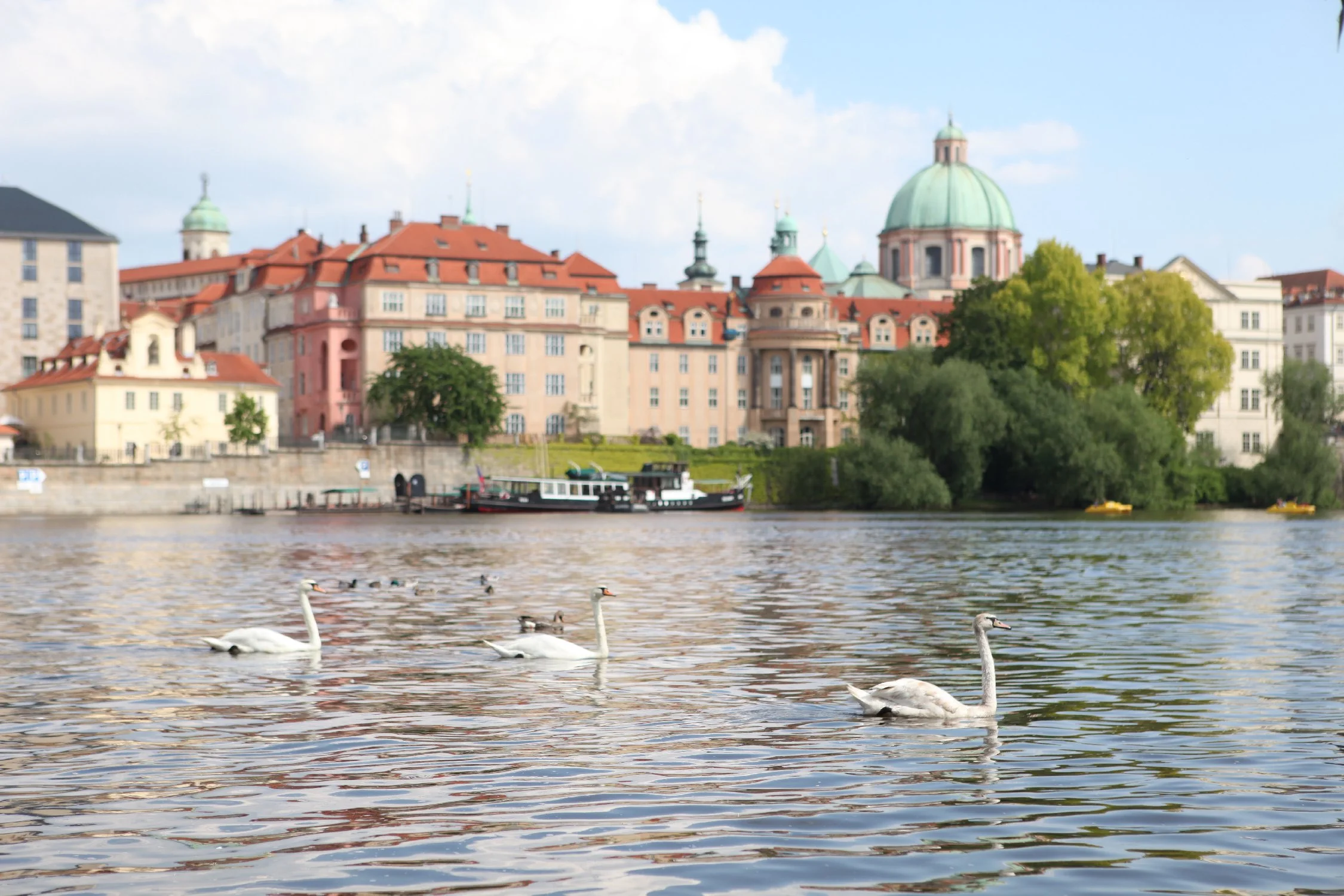 epicknight_travel_cz10.jpg