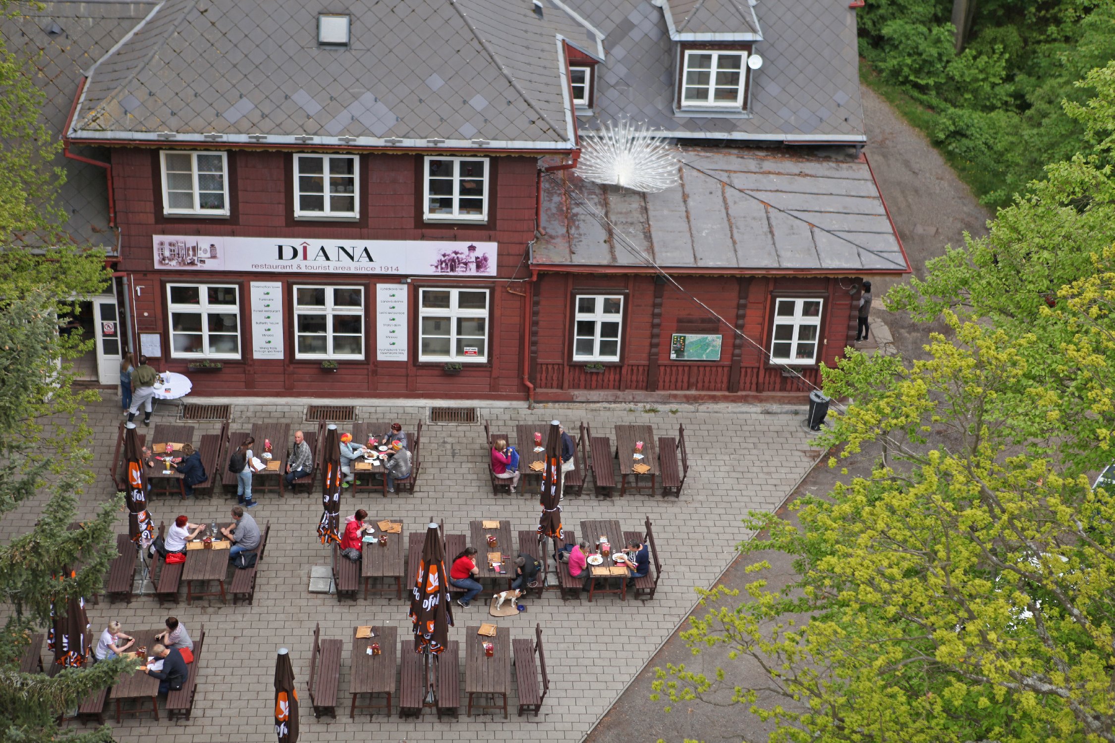 epicknight_travel_cz17.jpg