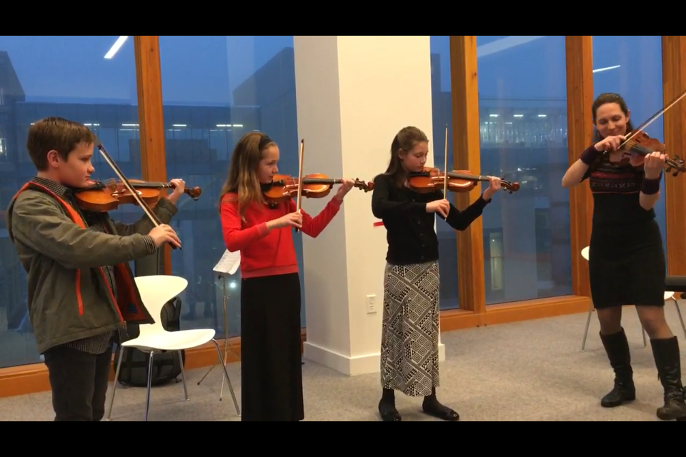 Norwegian Reinlender