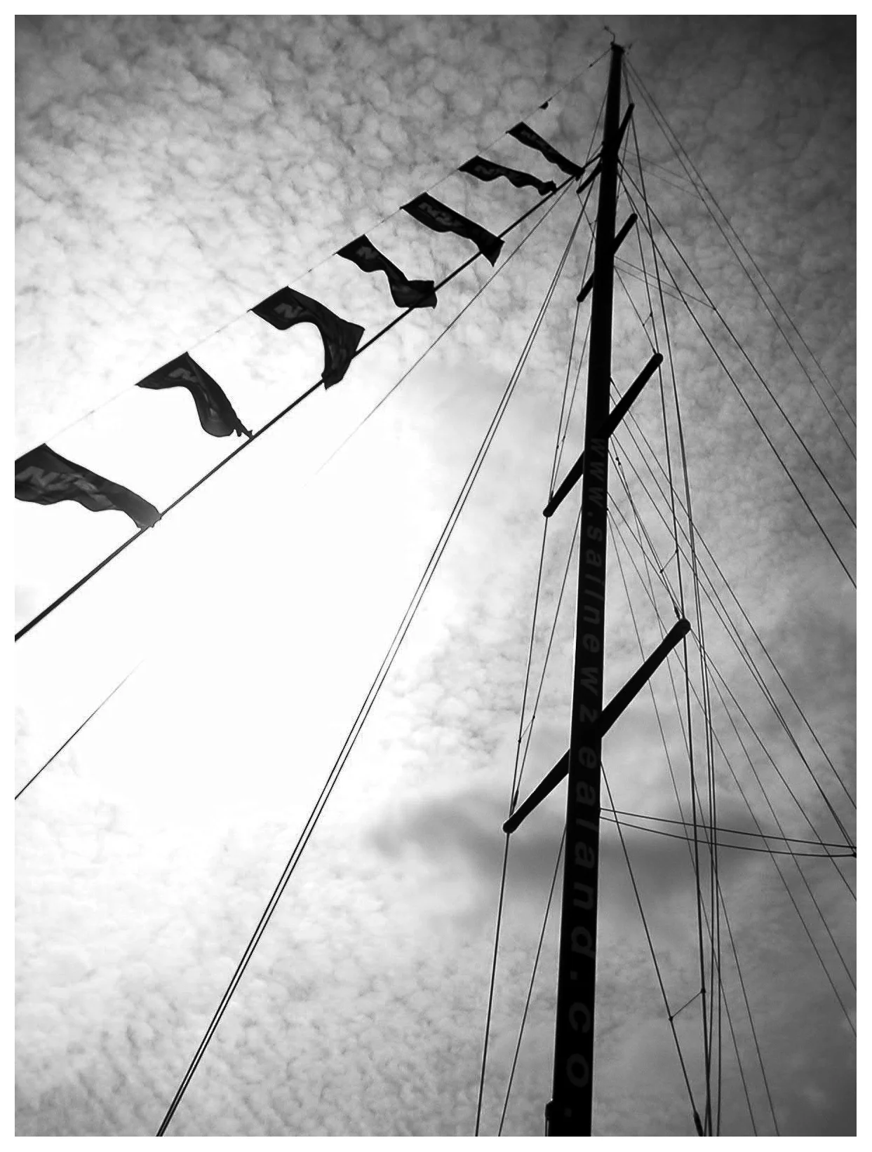 Auckland, 2003