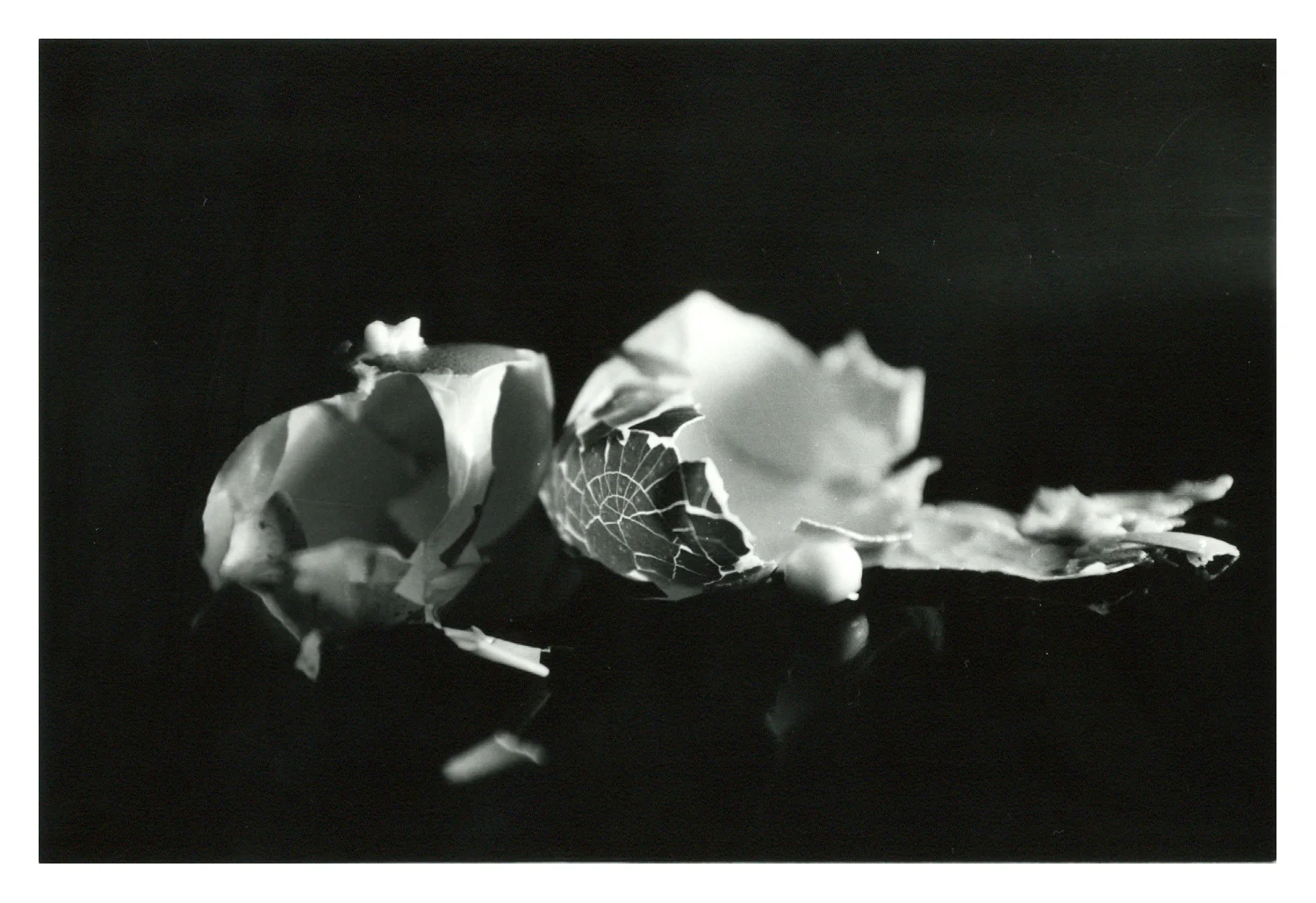 Fotografia Patricia Borges . Sydney 2003