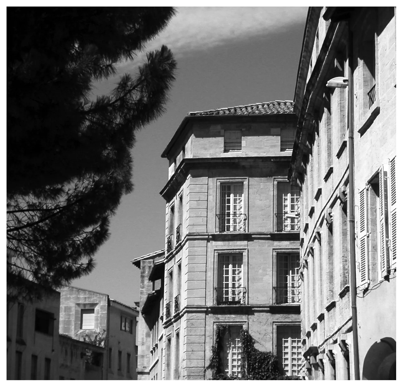 Avignon, 2005