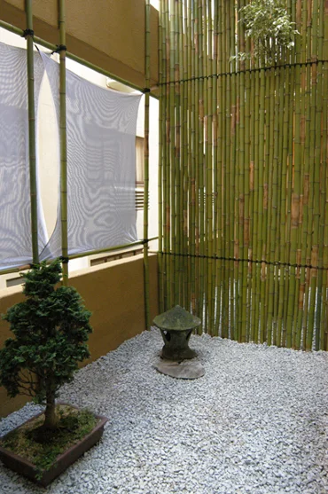 Projeto Patricia Borges, 2004