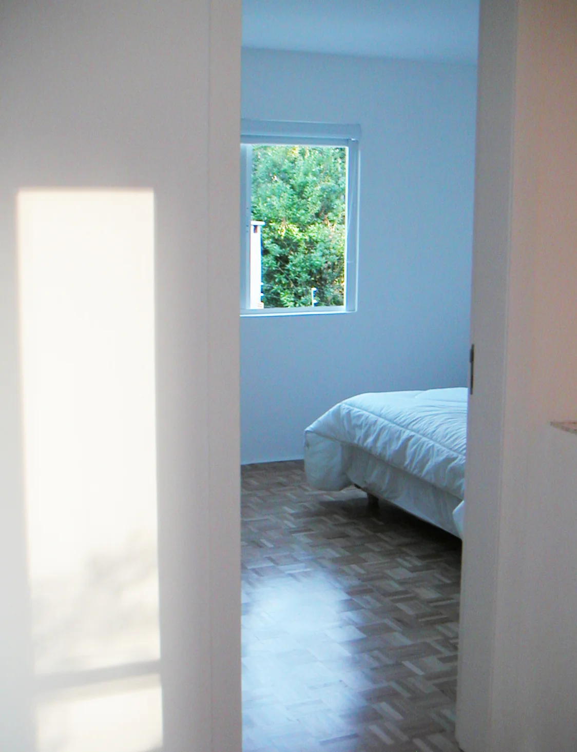 Projeto Patricia Borges, 2006