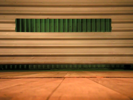 Temporada de Gripe, 2004