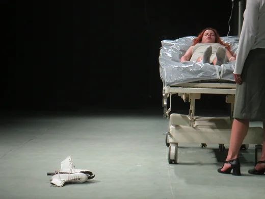 Temporada de Gripe, 2004