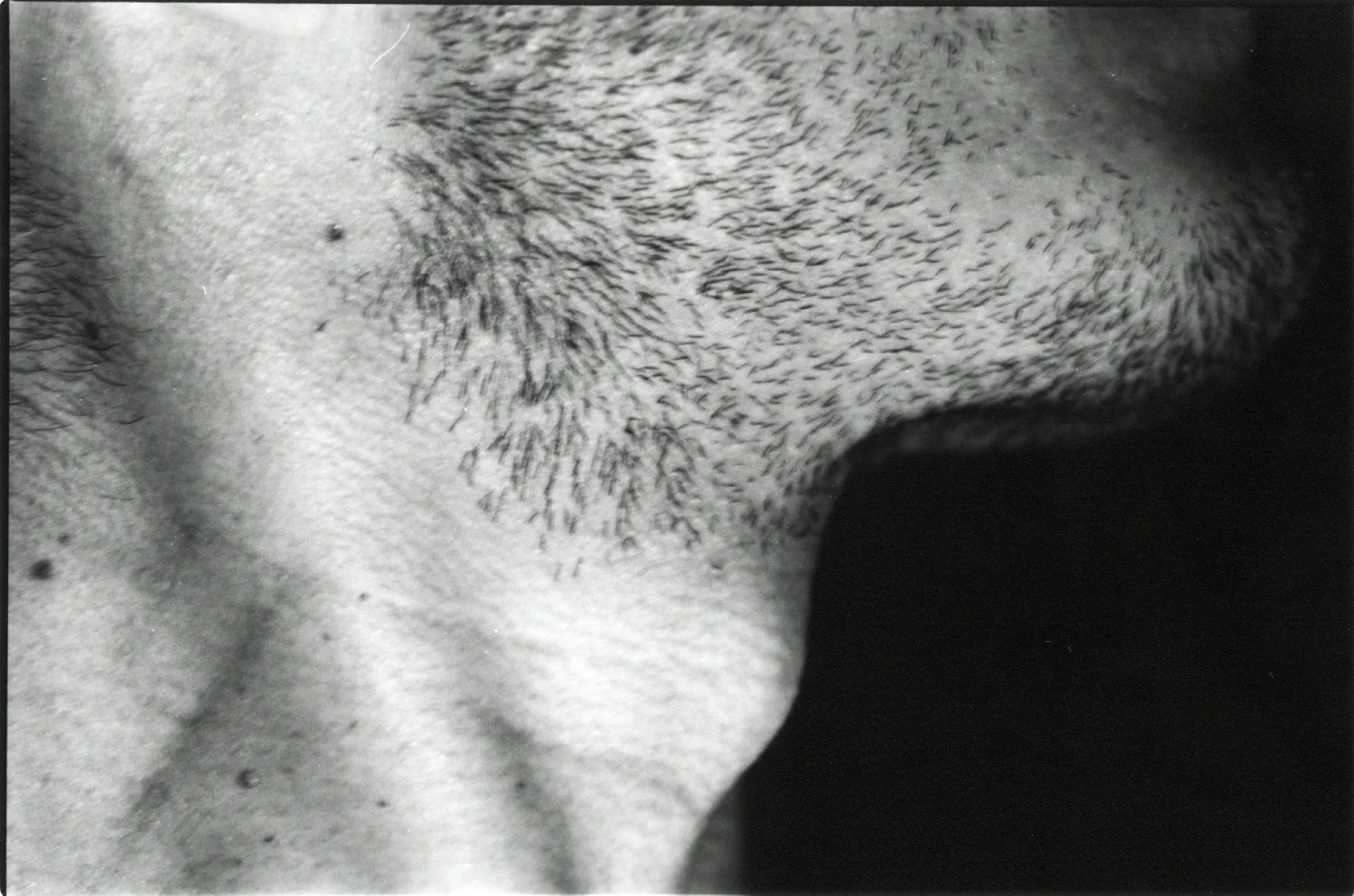 Estudo Pele - Fotografias Patricia Borges . Sydney, 2002
