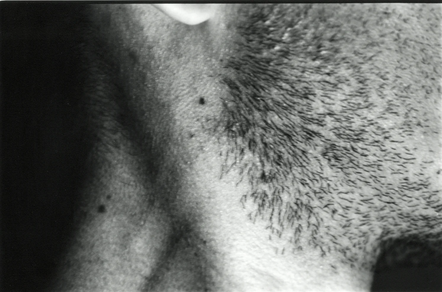 Estudo Pele - Fotografias Patricia Borges . Sydney, 2002