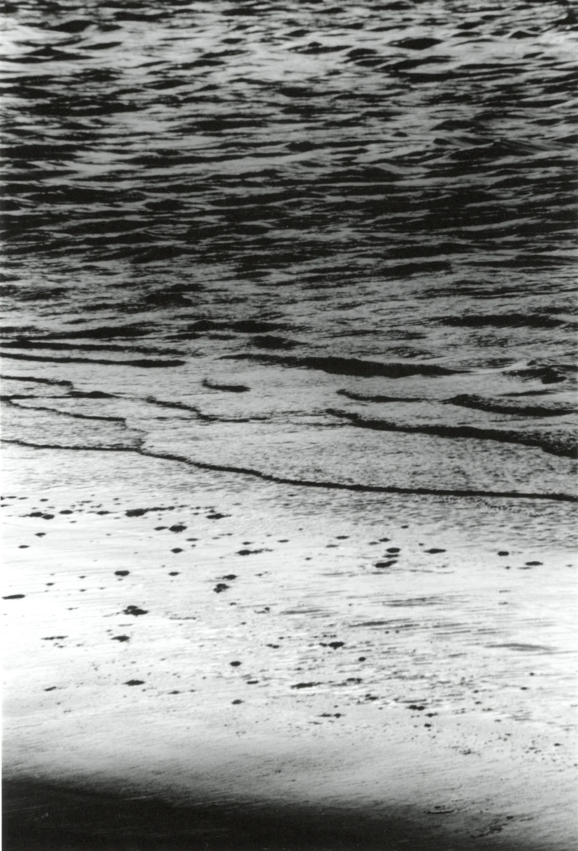 Fotografia Decoração Patricia Borges . Salinopolis PA, 1999