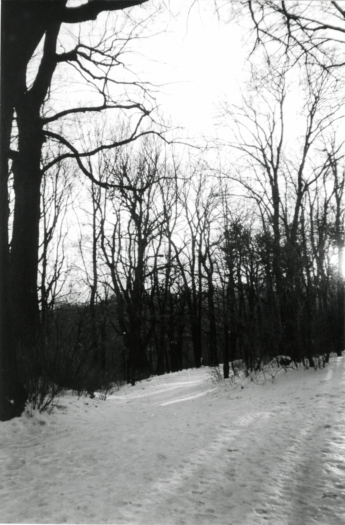 Viena, 1997