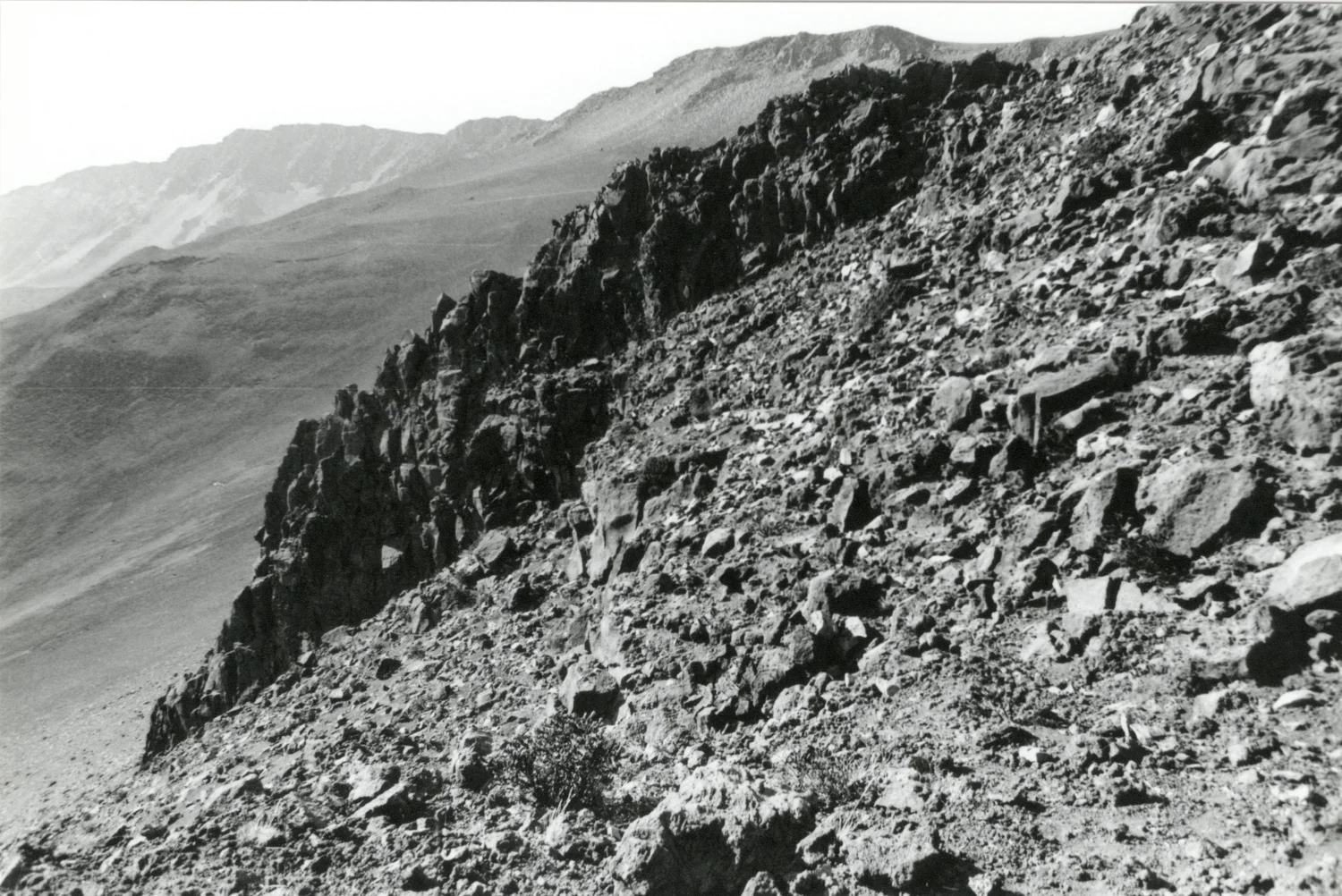 Maui, 2000