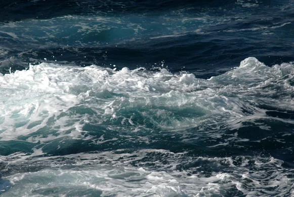 Corsica, 2009