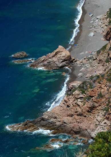 Corsega, 2009