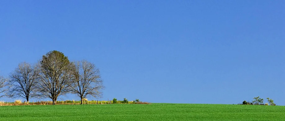 Guarapuava, 2012