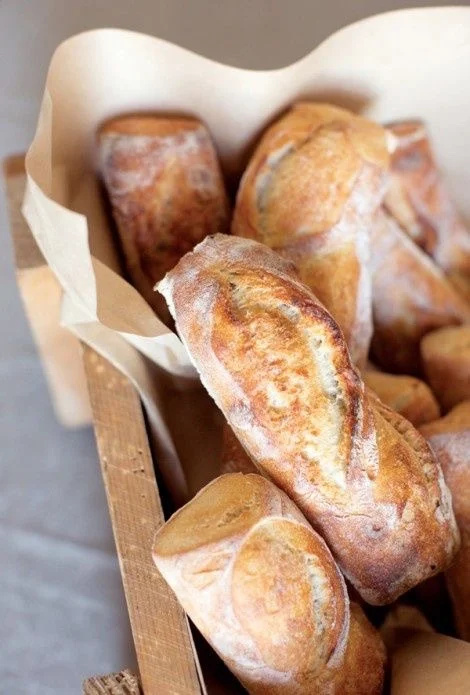 Chef Alexandra Pelikan, 2016