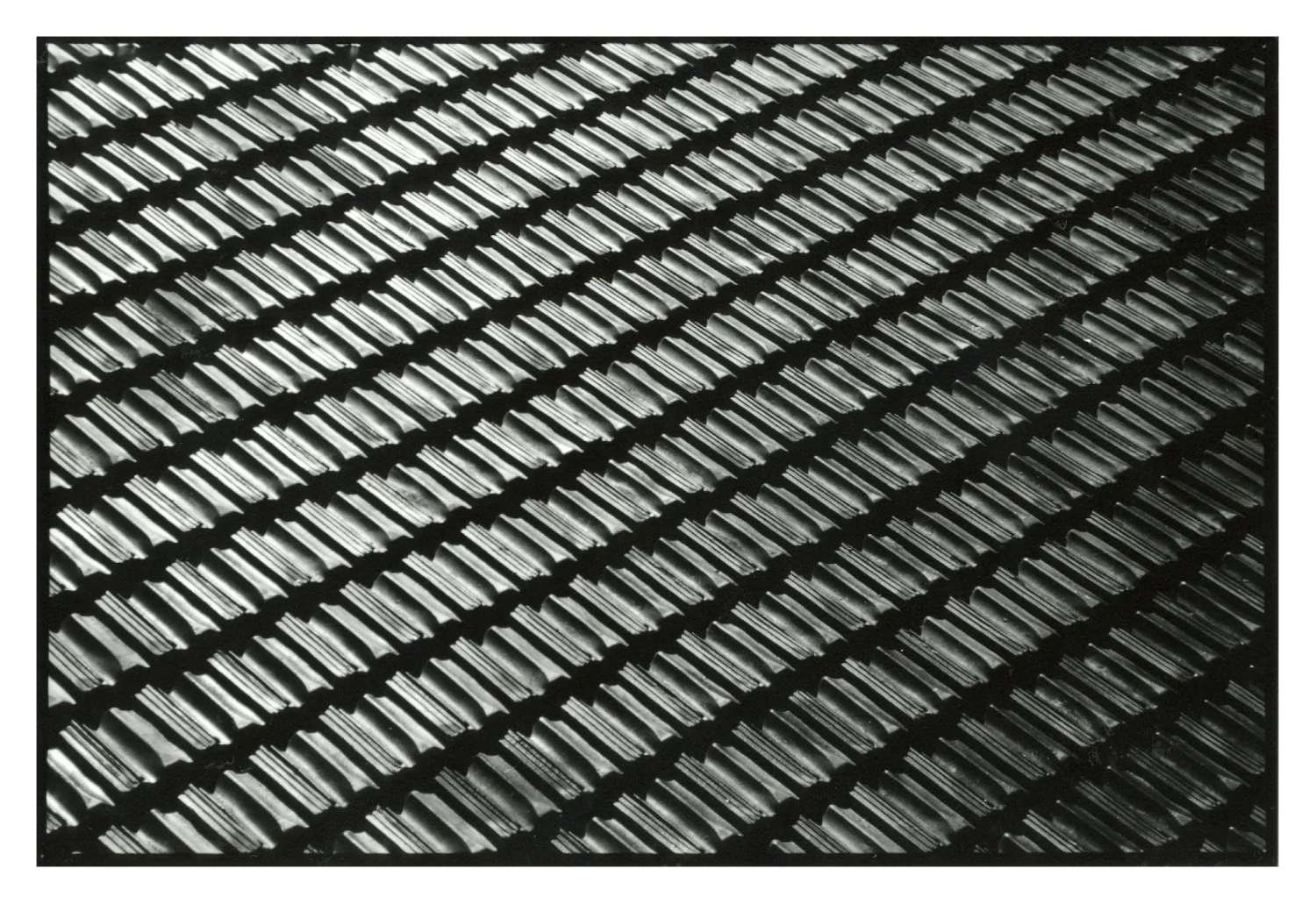 Sydney, 2002