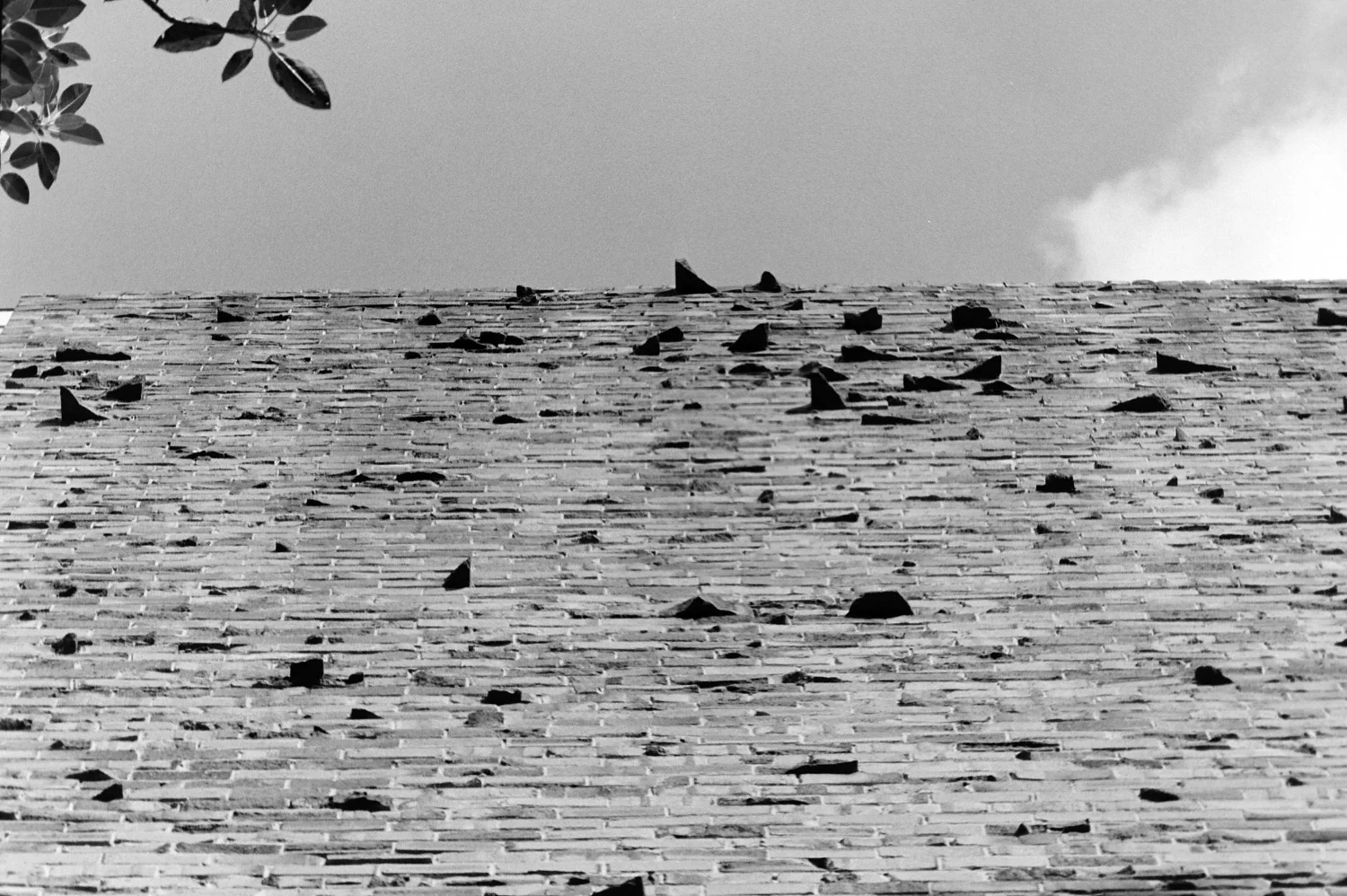 Sydney, 2001