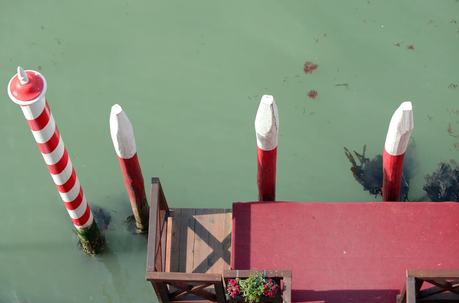 Venice, 2015