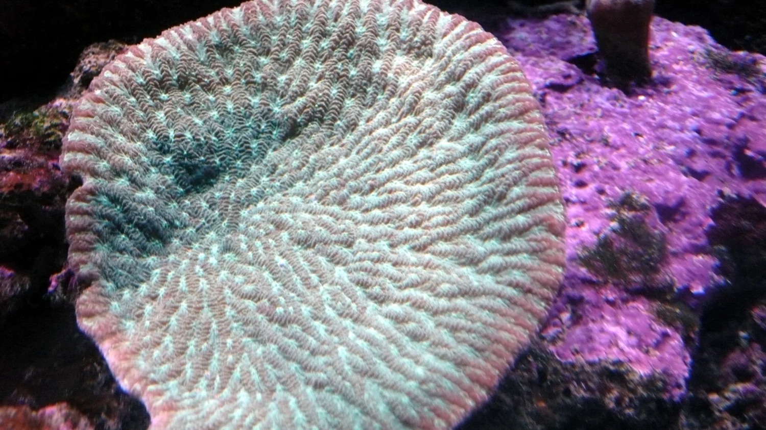 Cairns, Australia 2001