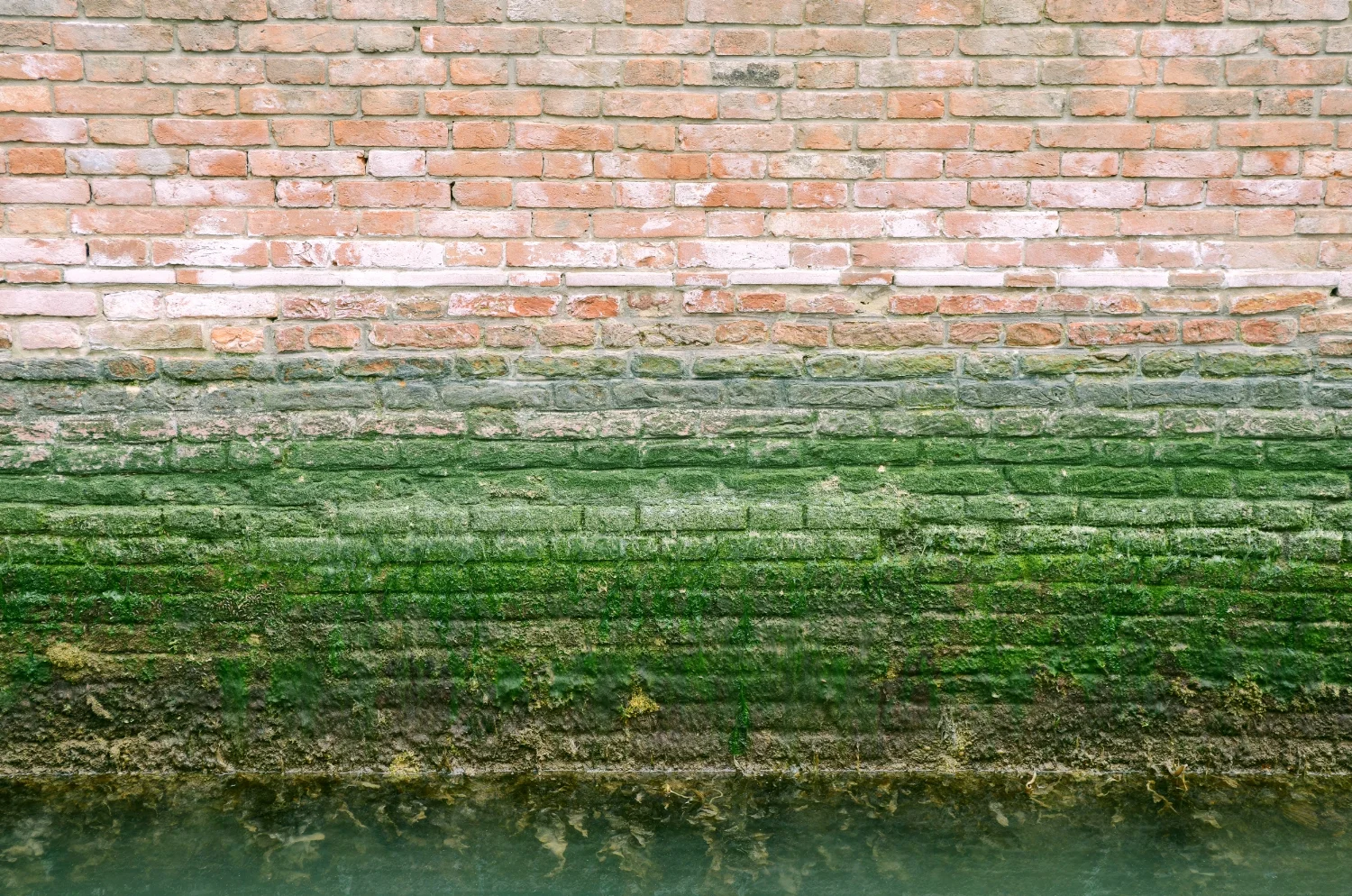 Venice, 2015