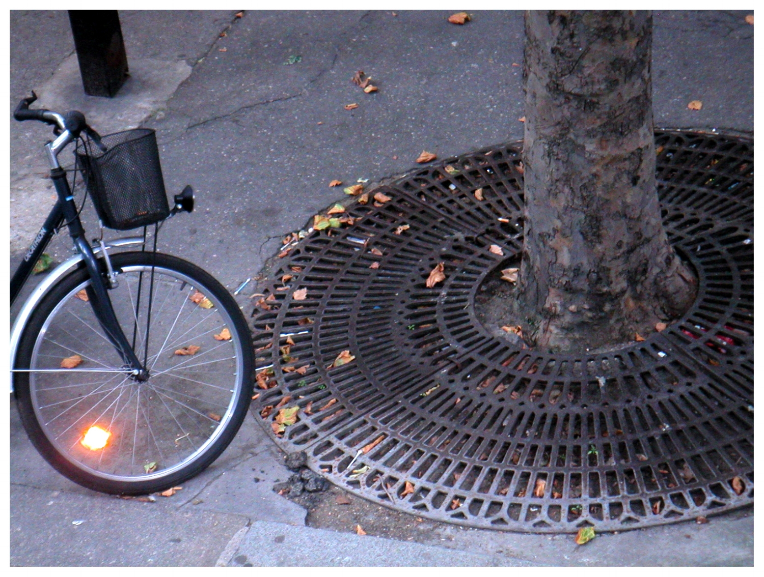 Paris, 2006