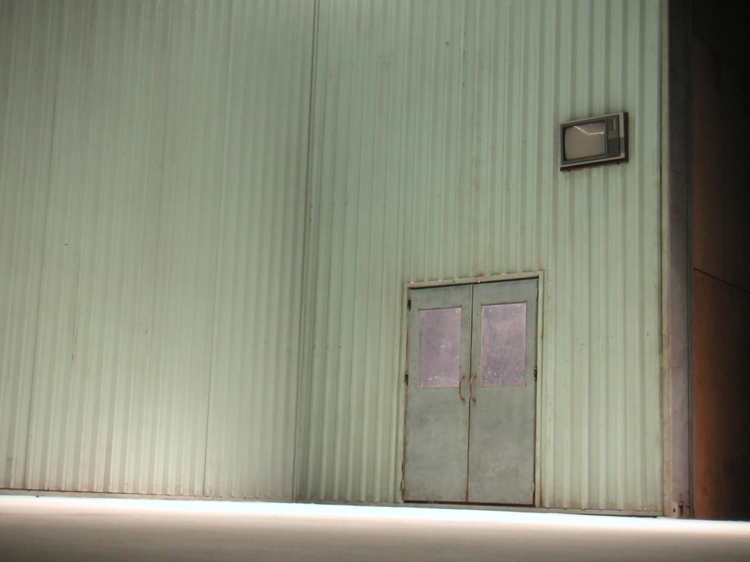 Temporada de Gripe, 2004