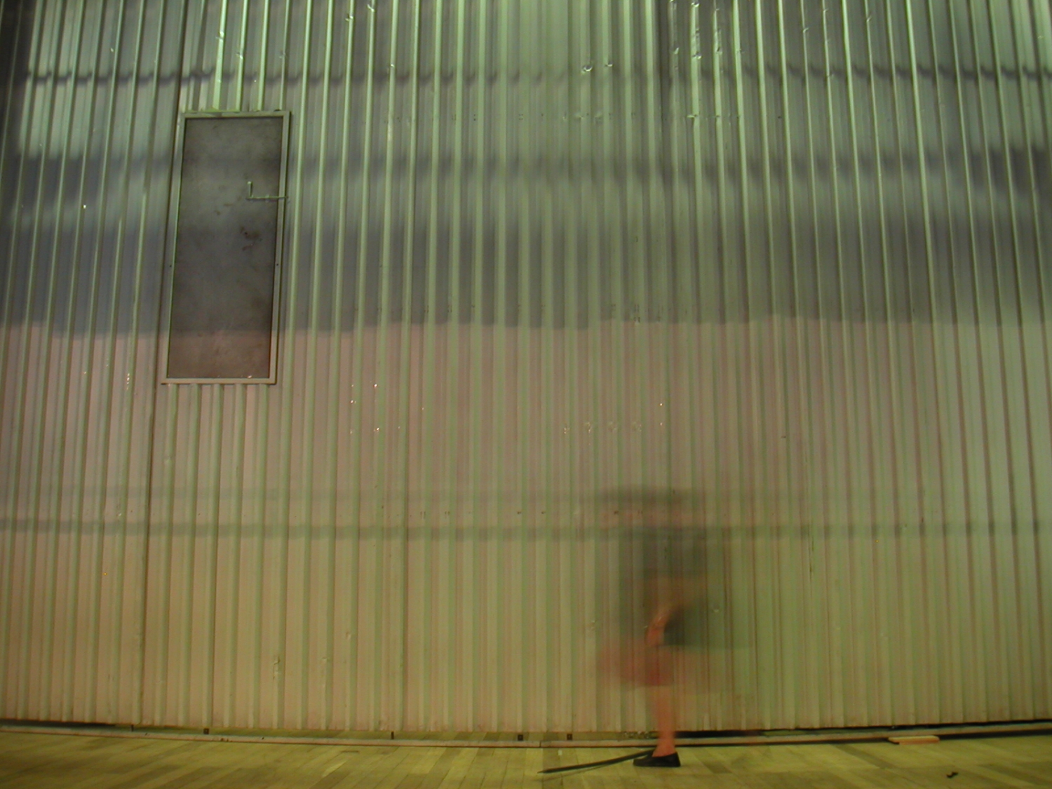 Temporada de Gripe, 2004