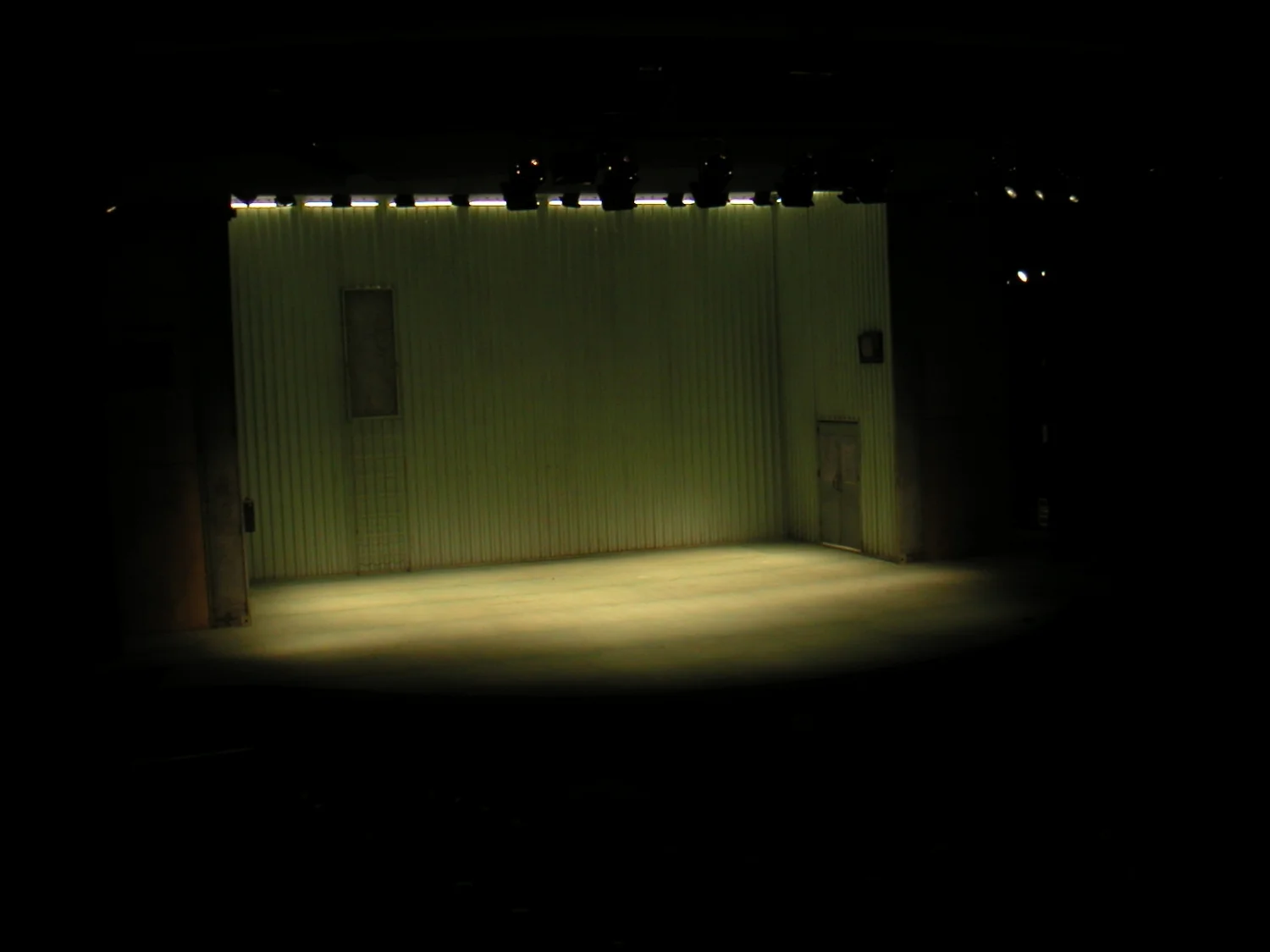 Temporada de Gripe, 2004