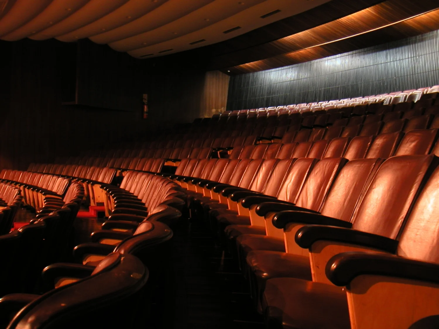 Temporada de Gripe, 2004