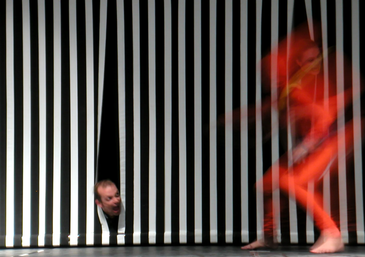 Grande Rei Leão, 2004